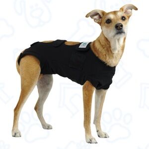 Calm Paws Black Recovery Support Vest